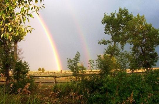 Parade Rest Ranch غرب يلوستون المظهر الخارجي الصورة